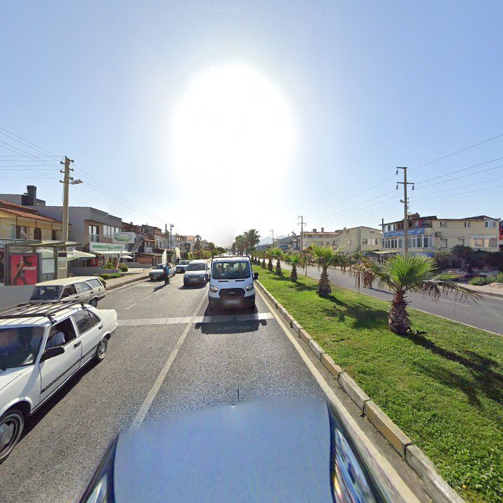 Fotoğraf 7