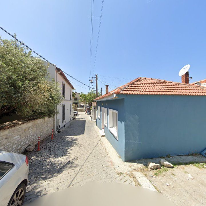 Fotoğraf 12