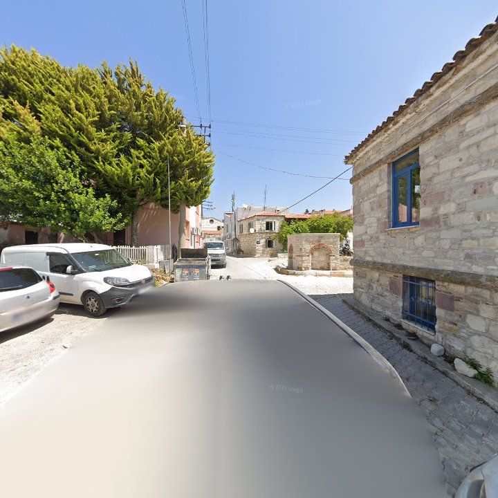 Fotoğraf 14