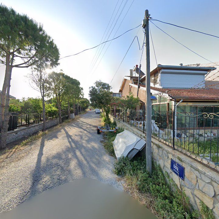 Fotoğraf 7