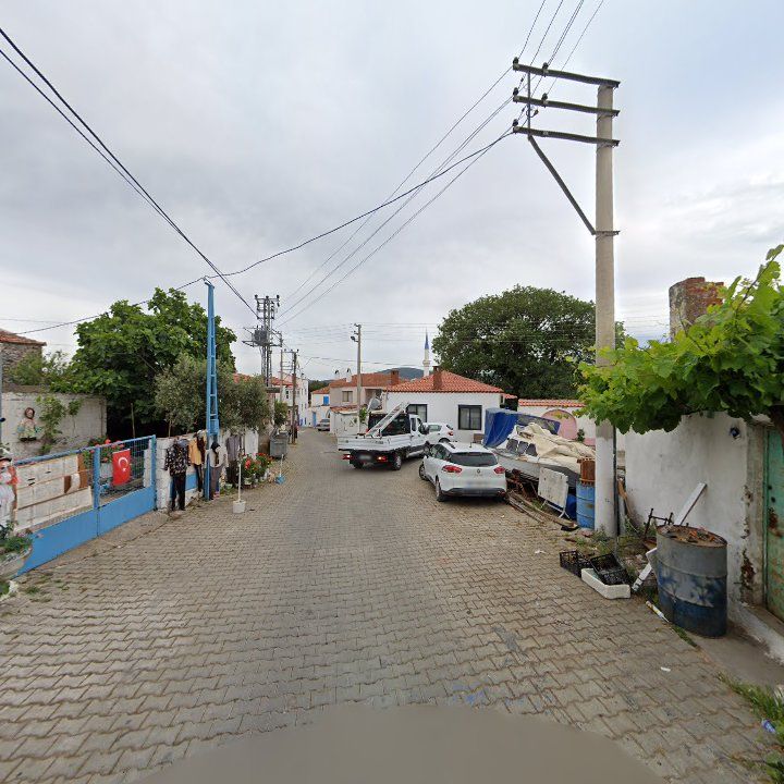 Fotoğraf 7