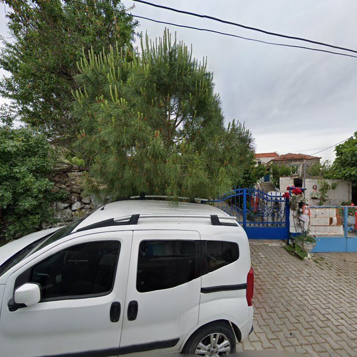 Fotoğraf 6