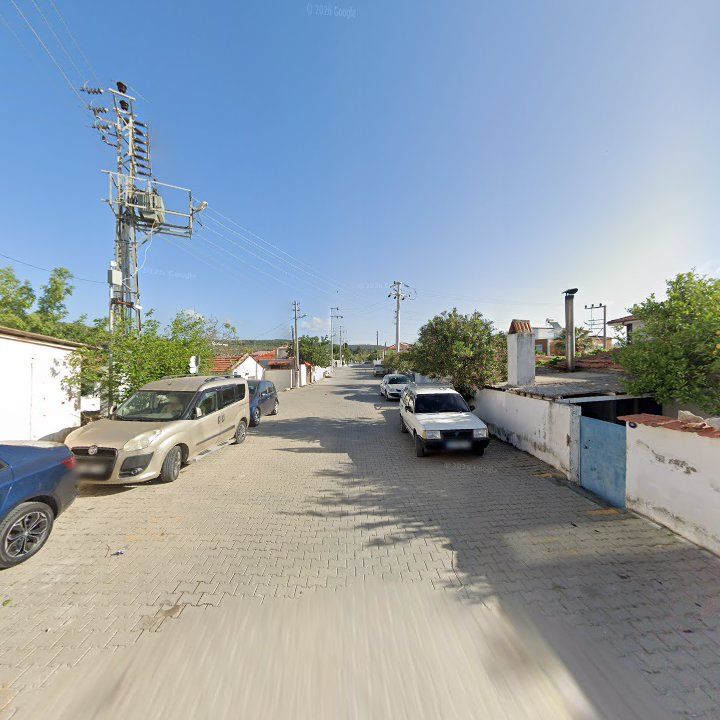 Fotoğraf 9