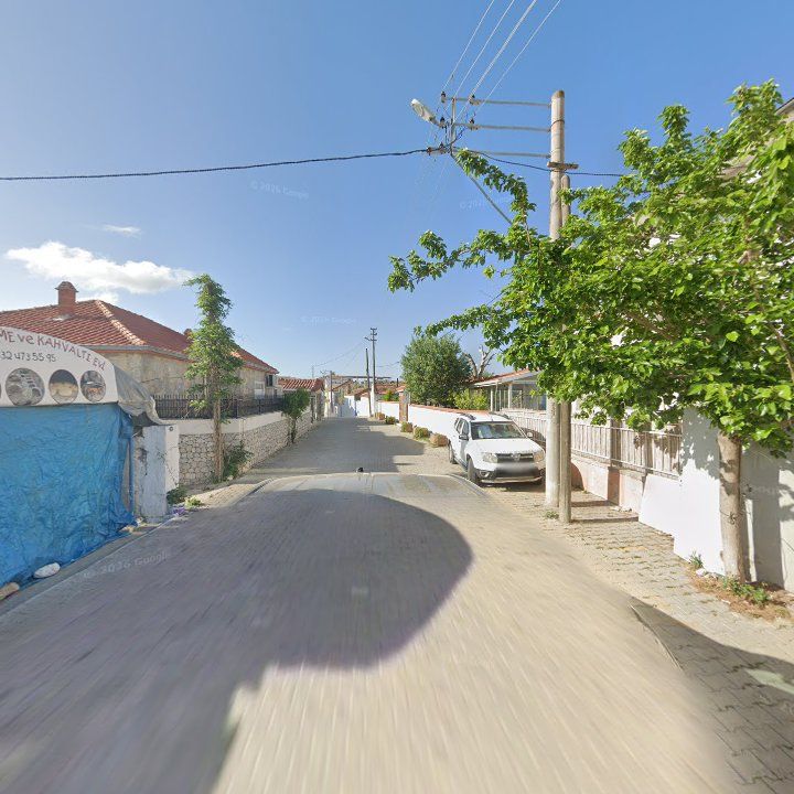 Fotoğraf 7