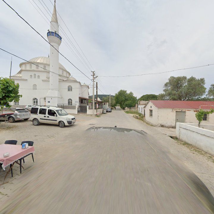 Fotoğraf 7