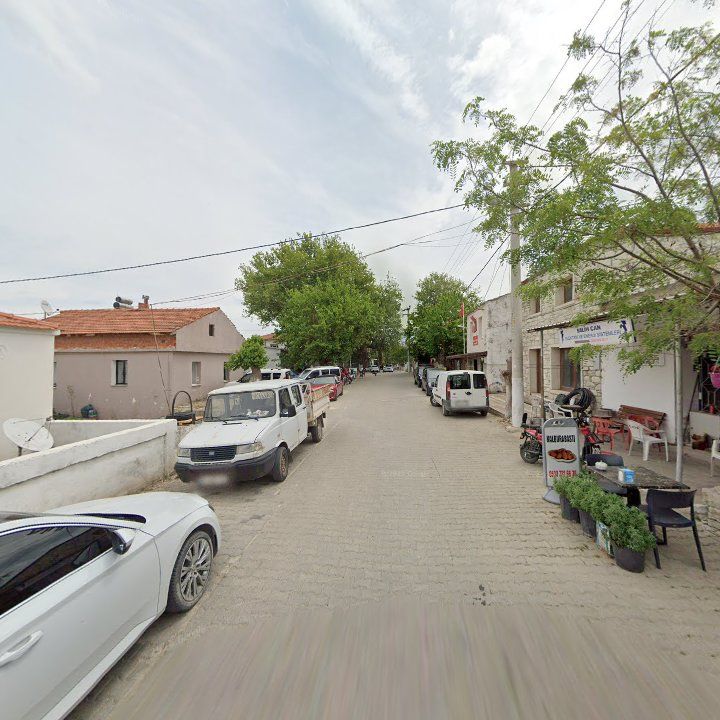 Fotoğraf 9
