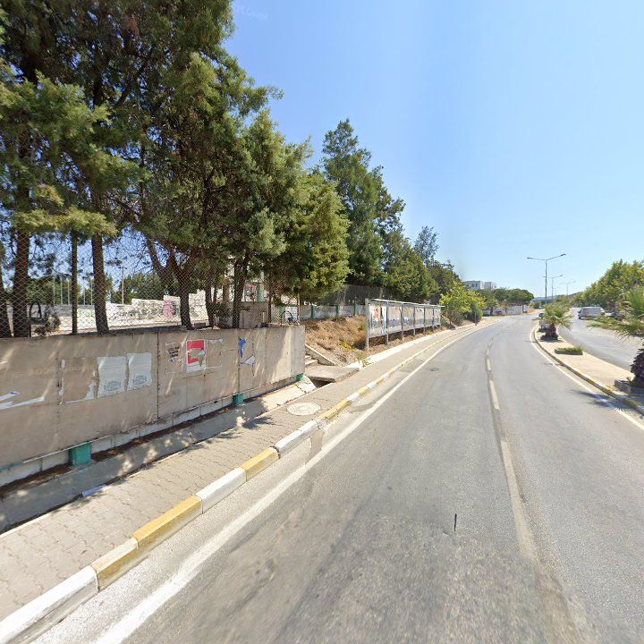 Fotoğraf 13