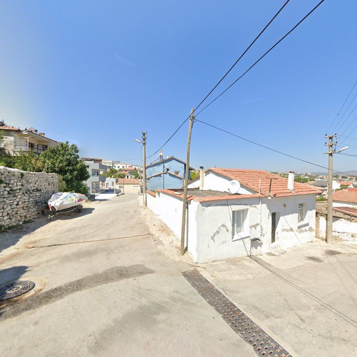 Fotoğraf 6