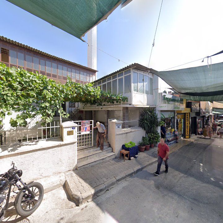 Fotoğraf 9