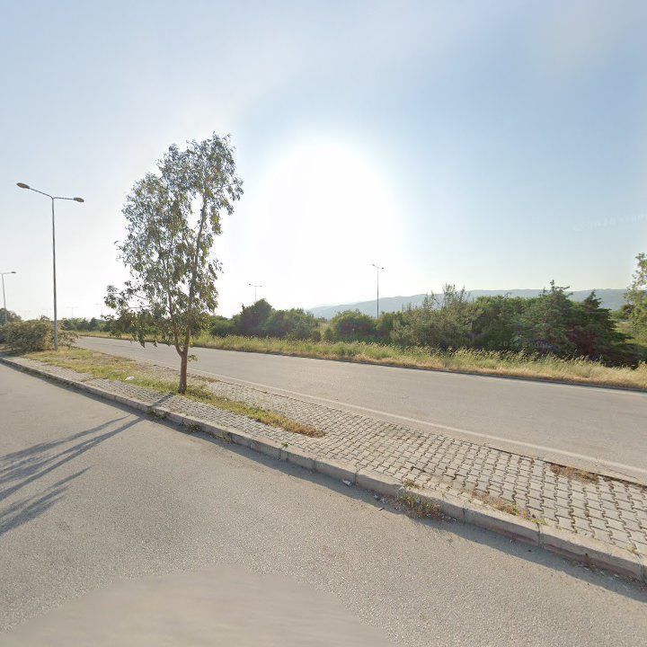 Fotoğraf 10