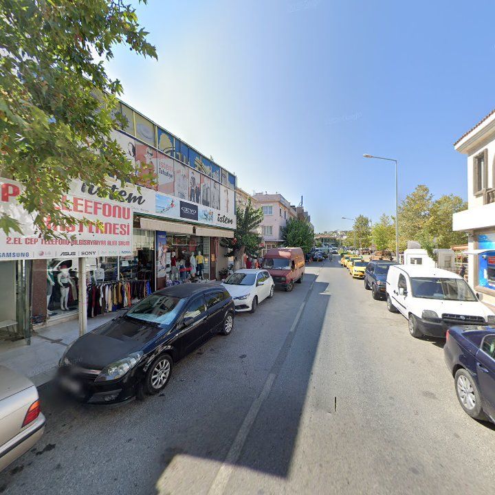 Fotoğraf 7