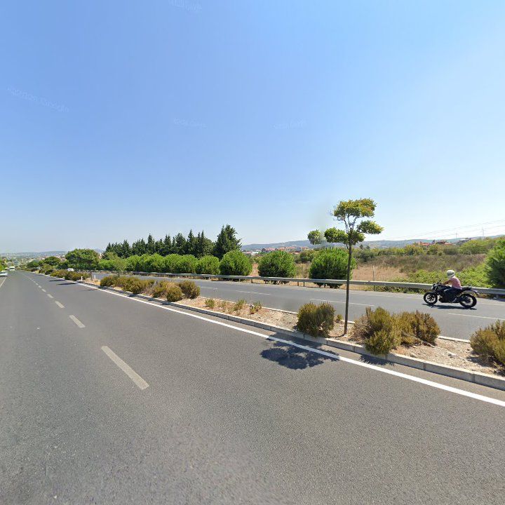 Fotoğraf 13