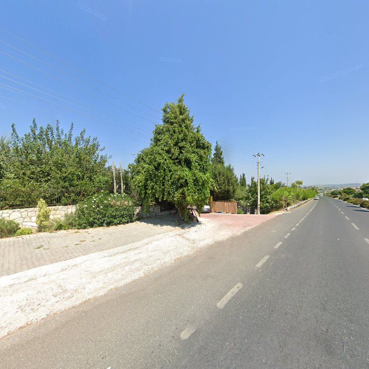 Fotoğraf 12