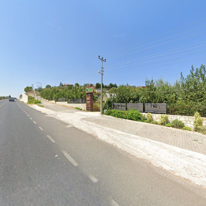 Fotoğraf 11