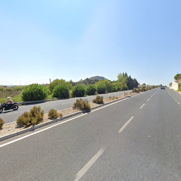 Fotoğraf 14
