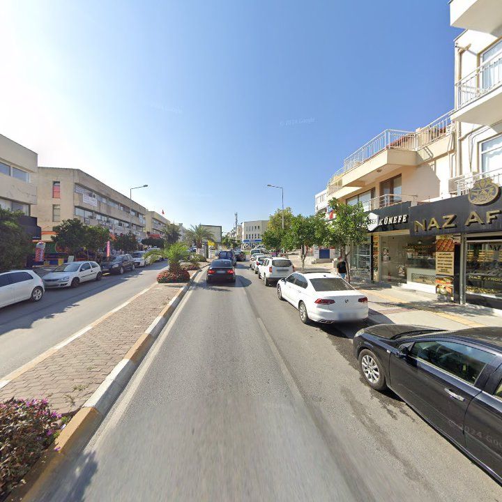 Fotoğraf 11