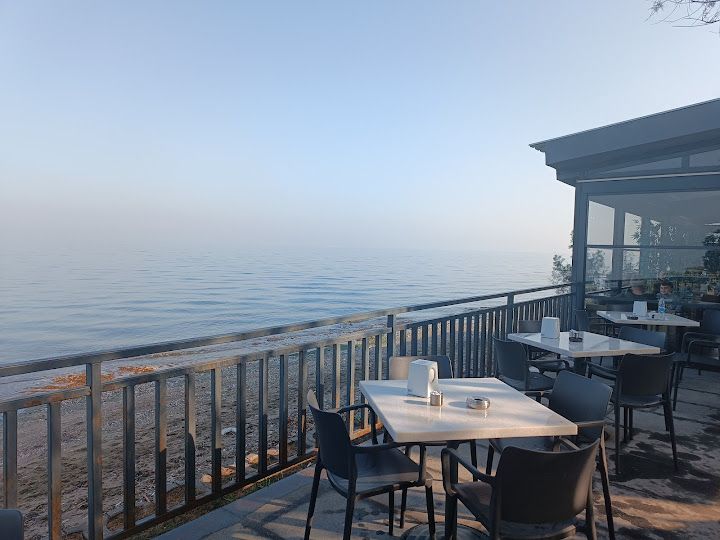 Urit zeytinalanı kafe