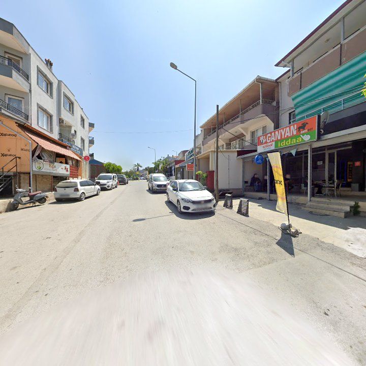 Fotoğraf 8