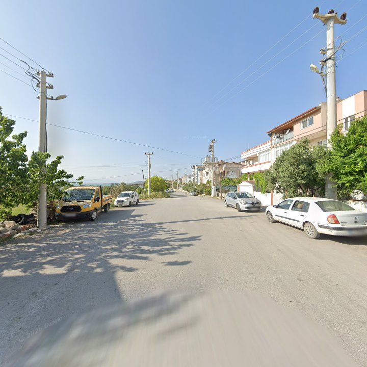 Fotoğraf 4