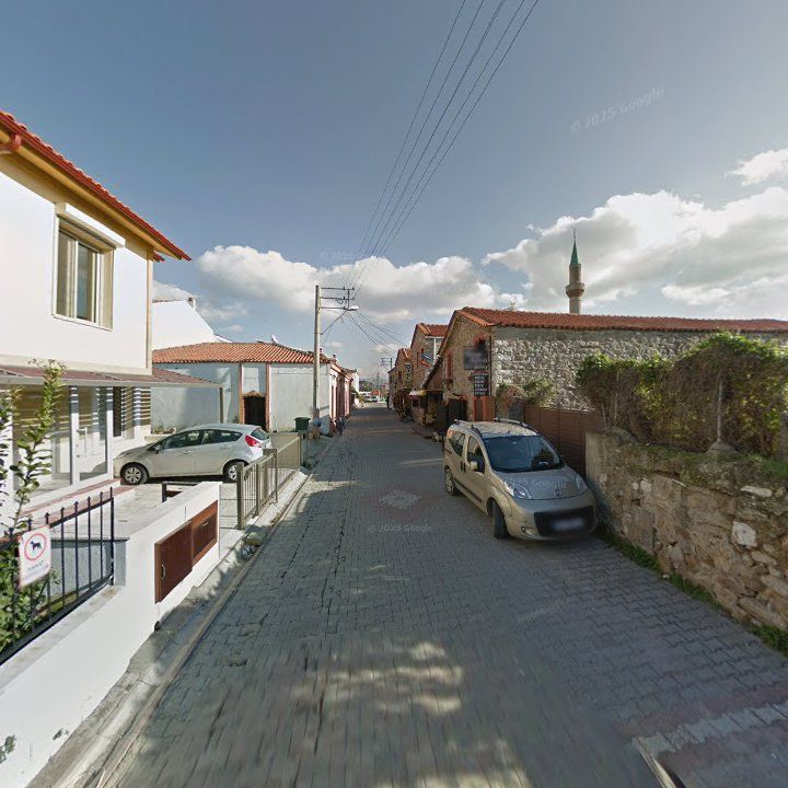 Fotoğraf 7