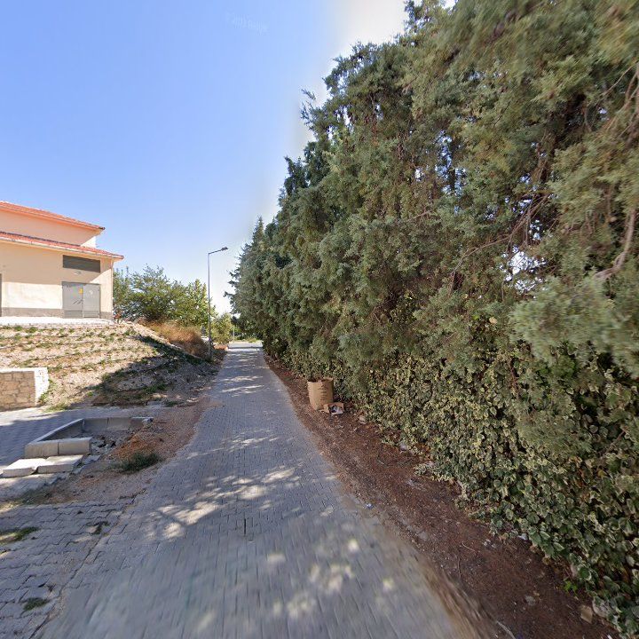 Fotoğraf 9