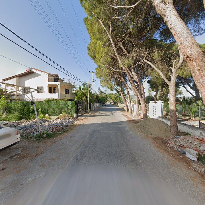 Fotoğraf 9