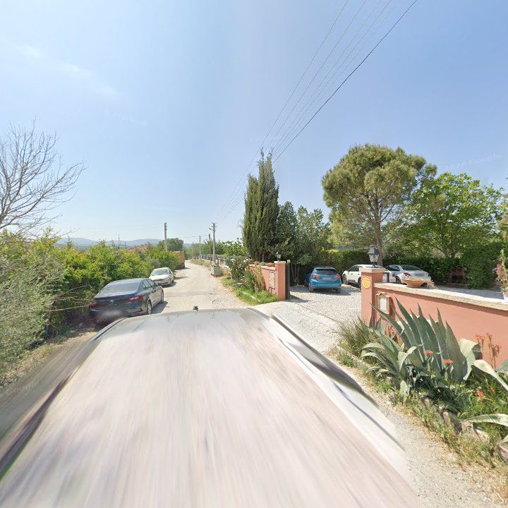 Fotoğraf 14