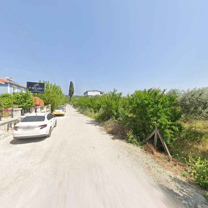 Fotoğraf 12