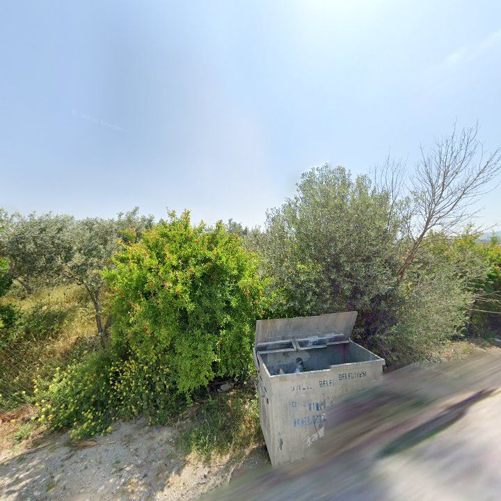 Fotoğraf 13