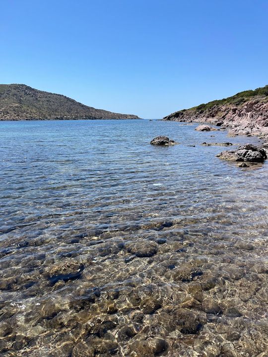 Urla zeytinler köyü