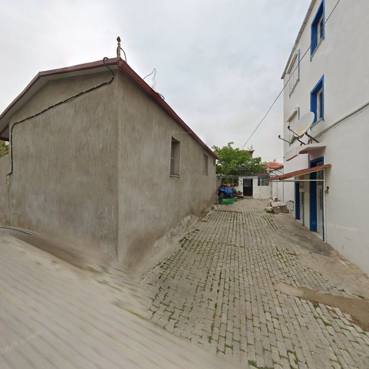 Fotoğraf 7