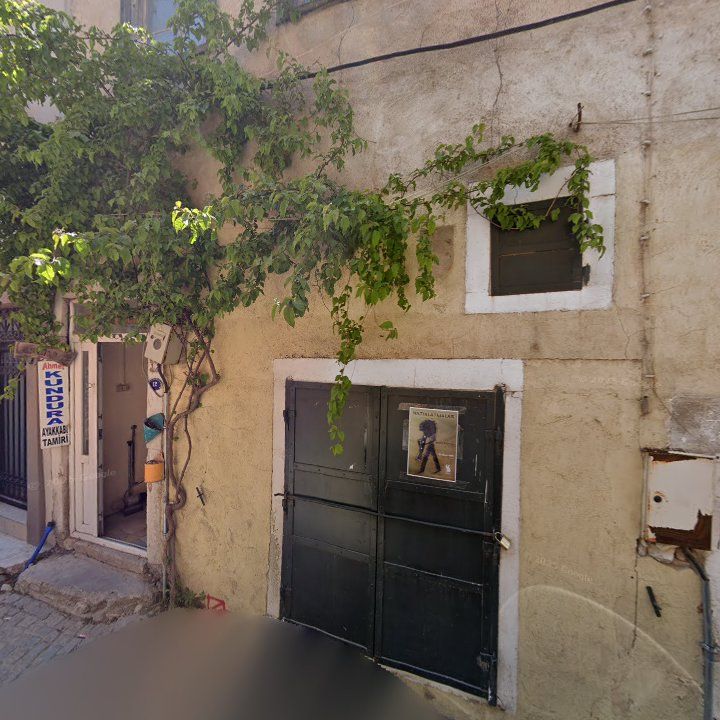 Fotoğraf 8