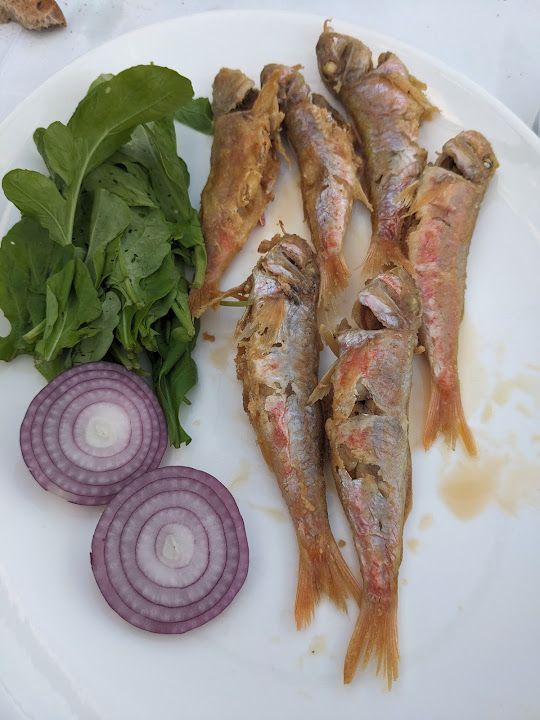 Fotoğraf 32