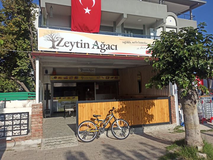 Zeytin Ağacı
