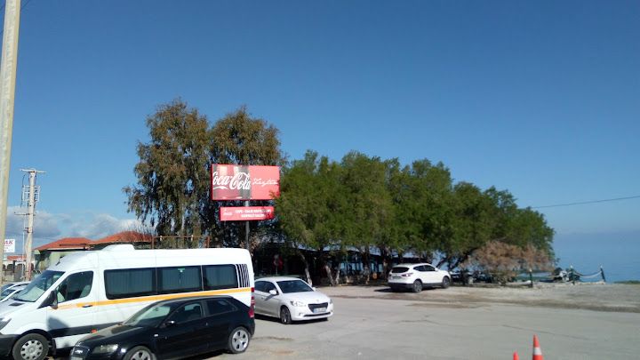 Zeytin balık evi