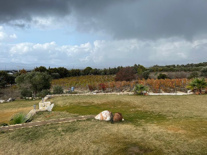 Fotoğraf 72
