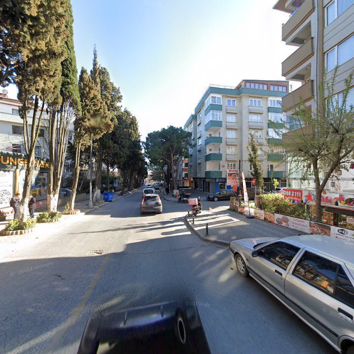 Fotoğraf 17