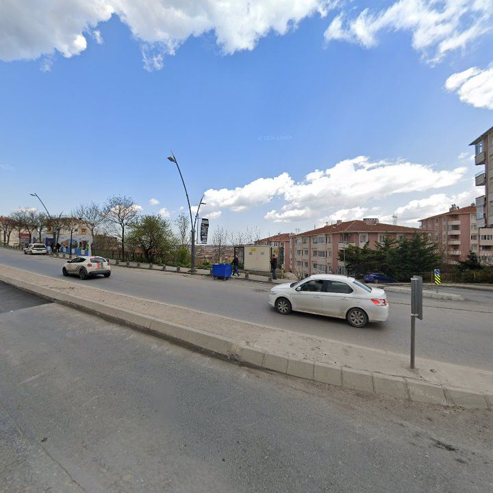 Fotoğraf 8