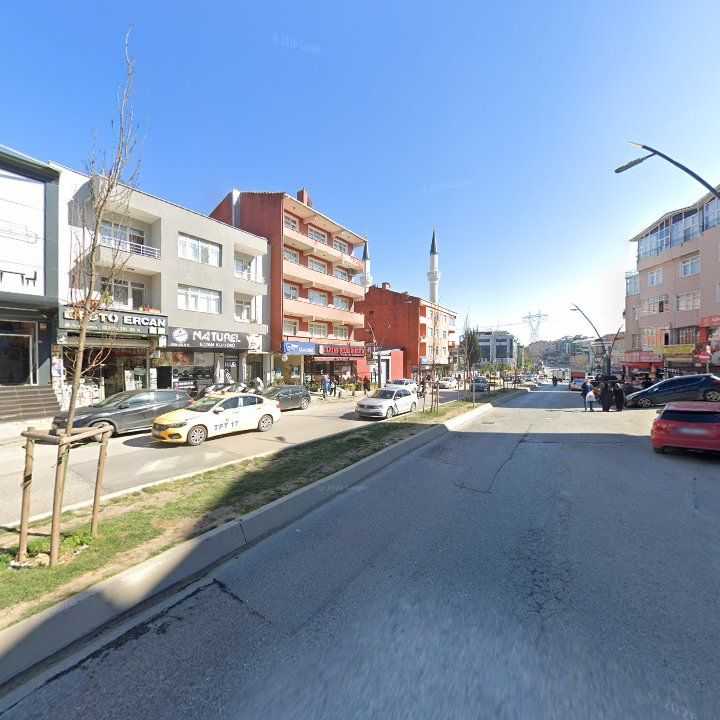 Fotoğraf 11