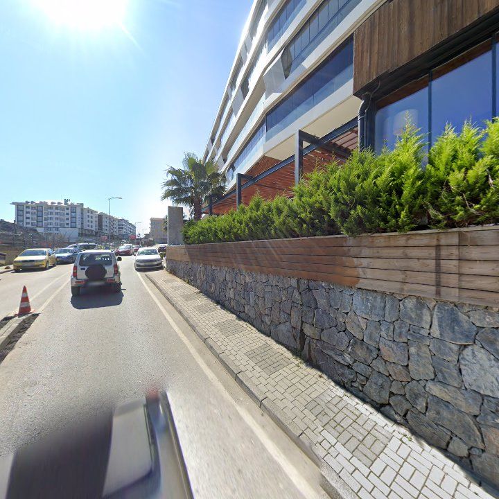 Fotoğraf 15