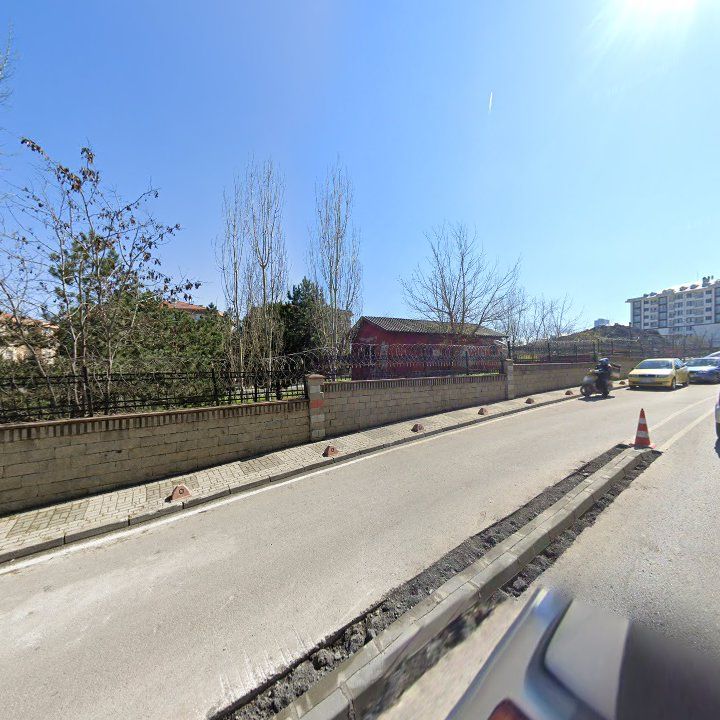 Fotoğraf 14