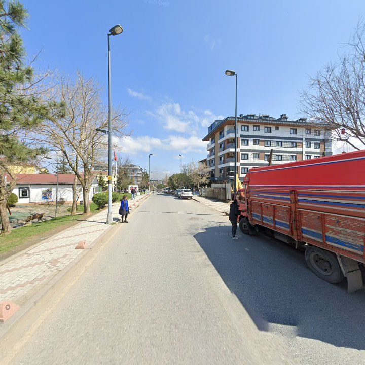 Fotoğraf 8