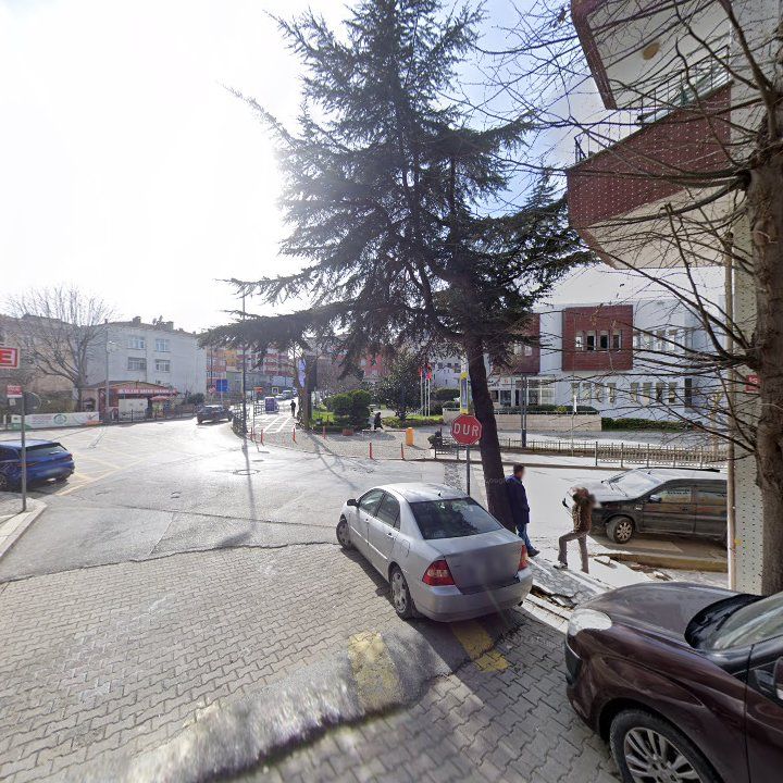 Fotoğraf 6