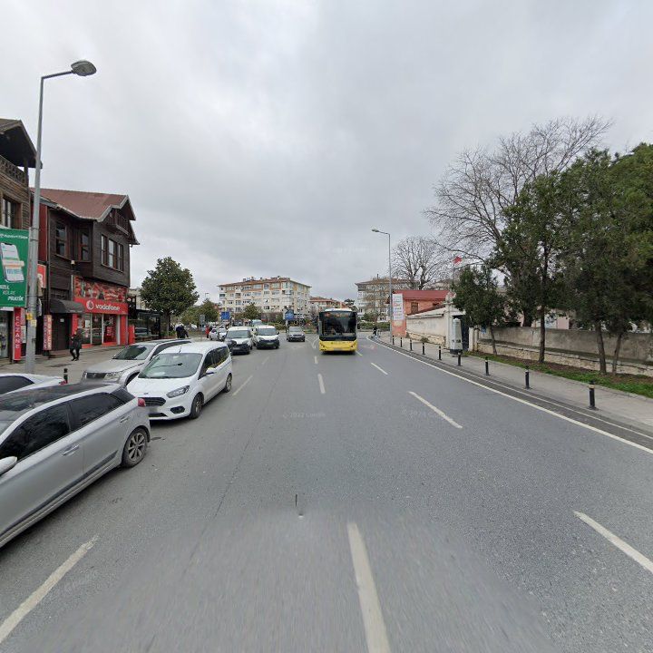 Fotoğraf 8