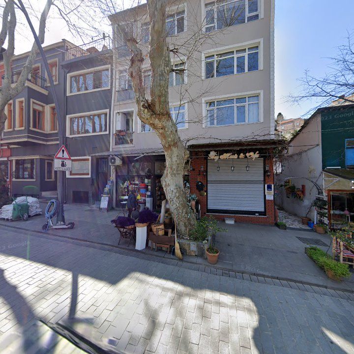 Fotoğraf 12