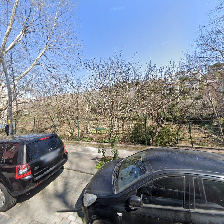 Fotoğraf 14