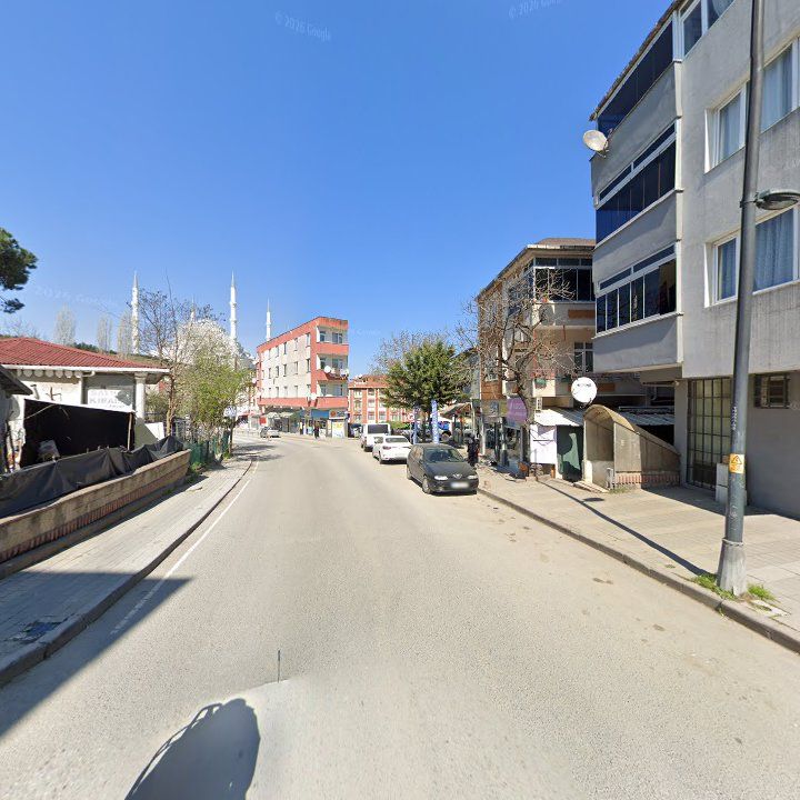 Fotoğraf 8