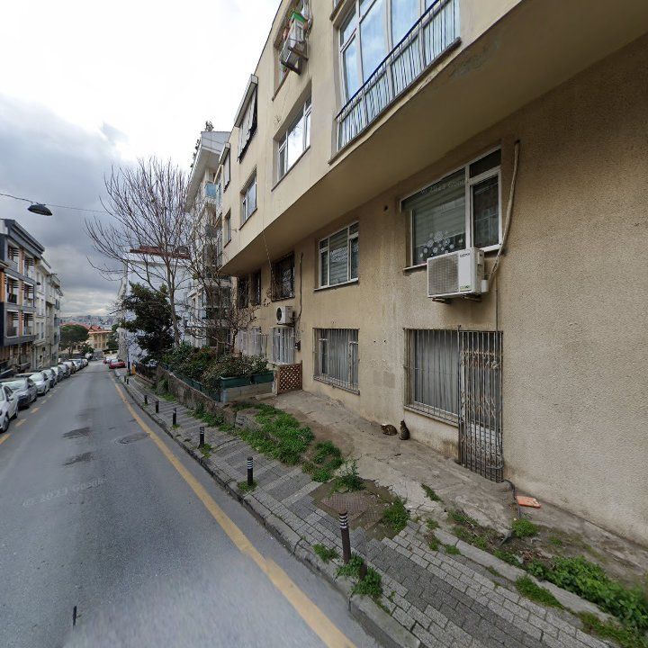 Fotoğraf 12