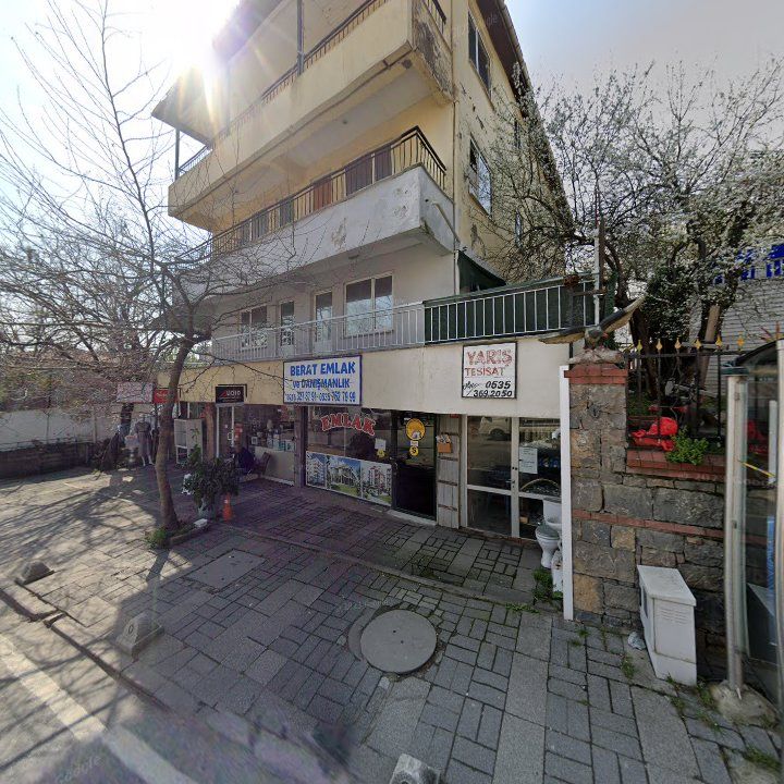 Fotoğraf 12
