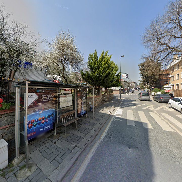 Fotoğraf 13